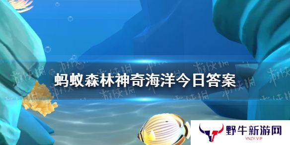 以下哪种海洋动物喜欢群居生活 神奇海洋2月23日答案