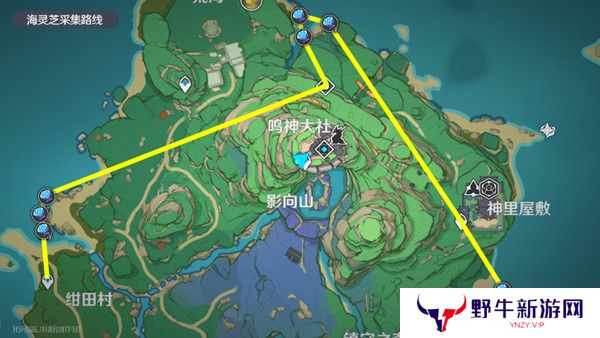 原神梦见月瑞希突破材料收集攻略 梦见月瑞希突破材料在哪里[多图]图片13