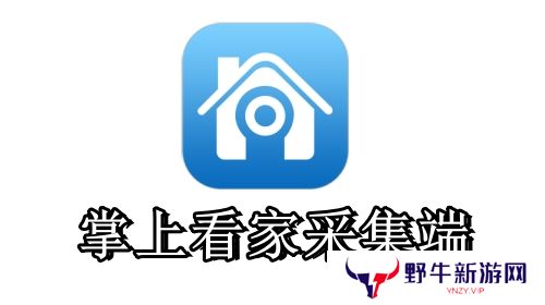 掌上看家采集端最新版