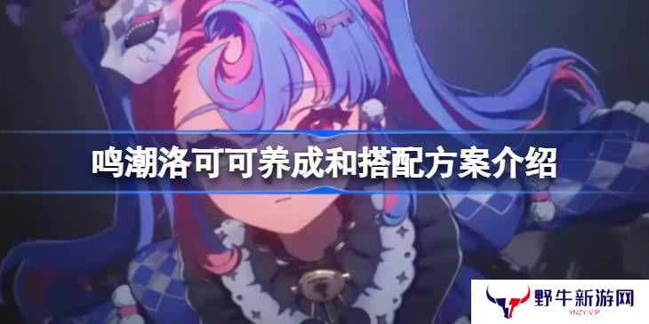 鸣潮洛可可培养攻略 洛可可如何养成搭配[多图]