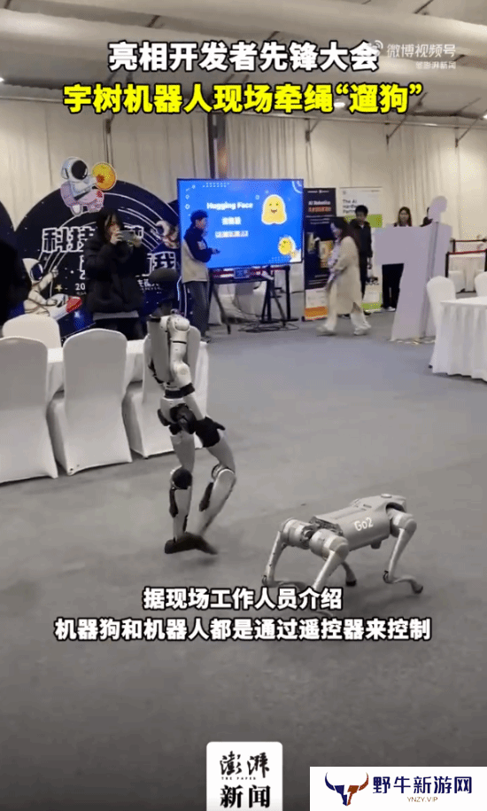 本站