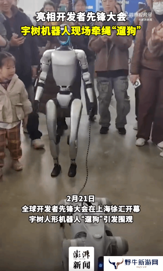 本站