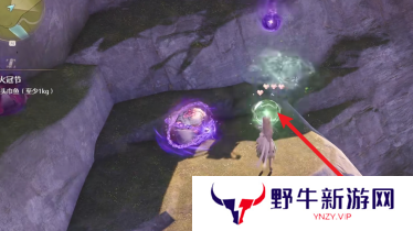 无限暖暖回避纽扣在哪里采集 回避纽扣获取攻略[多图]图片3