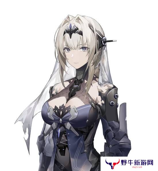 本站