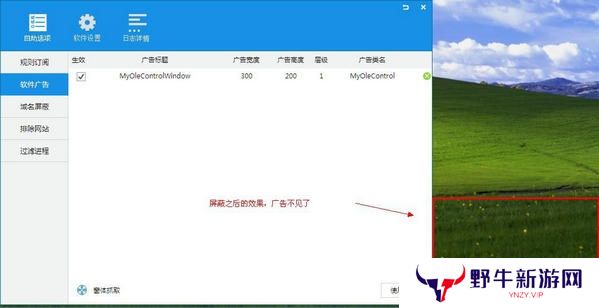 ADSafe净网大师全新版