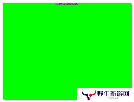 DisplayX中文版