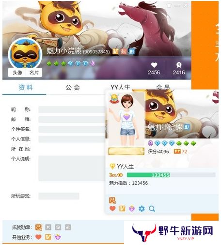 YY开播专业版