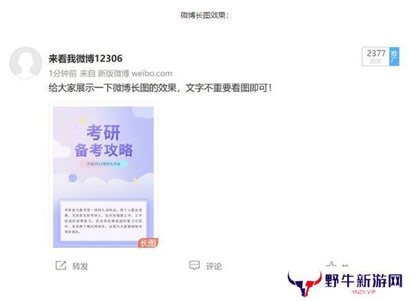 135编辑器全新版
