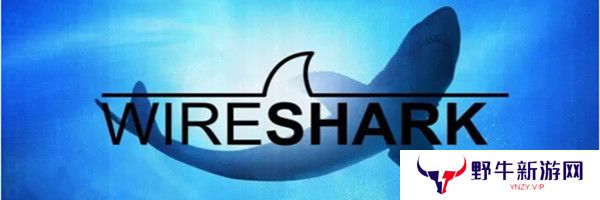 Wireshark专业版