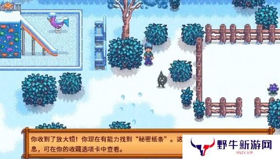 星露谷物语冬日谜团秘密纸条怎么使用 冬日谜团秘密纸条玩法攻略[多图]图片3