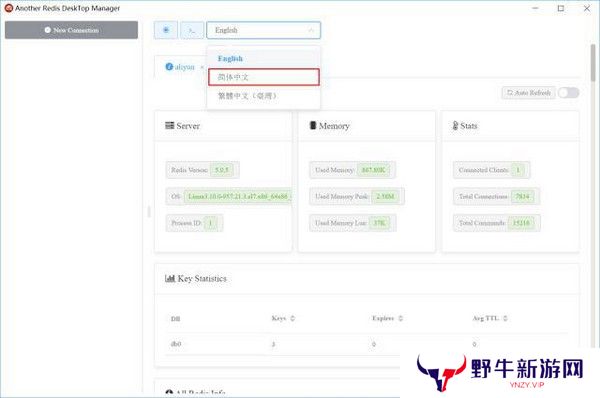 Another Redis DeskTop Manager简体中文版