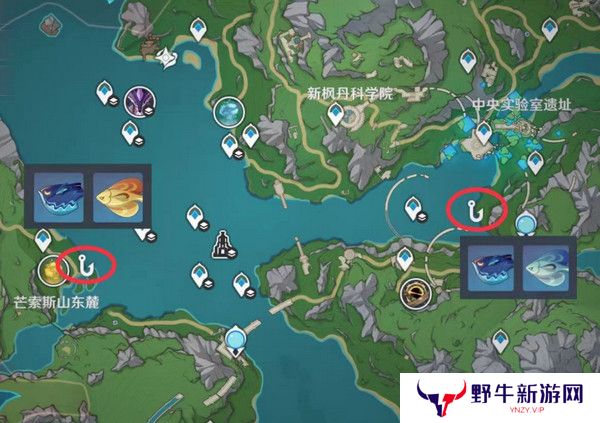 原神灰河渡手钓鱼地点分布图 灰河渡手精炼材料钓鱼点位攻略[多图]图片8