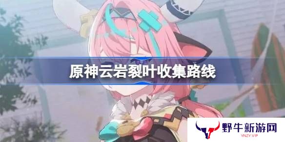 原神云岩裂叶收集路线 云岩裂叶在哪里采集[多图]图片1
